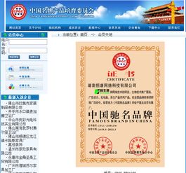 以品牌之光，照亮技術(shù)推廣之路——中國(guó)馳名品牌技術(shù)推廣服務(wù)戰(zhàn)略解析